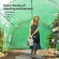 Outsunny 6 x 3 x 2m Walk-in Outdoor Garden Greenhouse Polytunnel with Door and Windows(m-7)