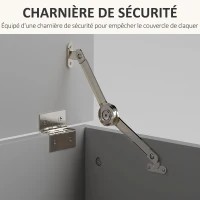 HOMCOM Coffre de rangement, banc de rangement avec couvercle rabattable et charnières de sécurité, 100 x 40 x 40 cm, gris(m-5)