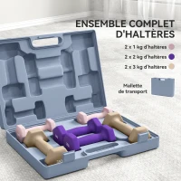 SPORTNOW Ensemble d'haltères hexagonaux 12 kg avec mallette lot de 6 haltères revêtement en polyuréthane, en acier, multicolore(m-4)
