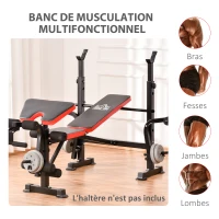 HOMCOM Banc de musculation Fitness entrainement complet avec support d'haltères dossier réglable acier 175 x 139 x 127 cm noir(m-4)