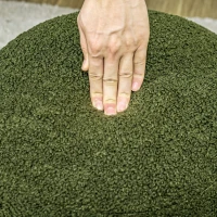 HOMCOM Pouf, rotondo, in peluche, con struttura in metallo, fino a 120kg, Ø40x45H cm, Verde(m-3)