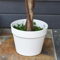 Outsunny Kunstboom, Kunstmatige Plant in Cementpot, Realistische Kunstplant(m-10)