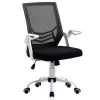 Vinsetto Silla de Oficina Ergonómica Silla de Malla con Altura Ajustable Reposabrazos Abatible Soporte Lumbar Transpirable para Adolescentes Adultos 62,5x55x94-104 cm Negro(m-1)