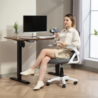 HOMCOM Breathable Mesh Office Chair, Ergonomic Swivel Computer Chair with Flip-up Armrests, Lumbar Back Support for Home/Office, Grey(m-2)
