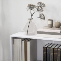 HOMCOM Bücherregal mit 2 Fächern und verstellbarem Regal, 60 x 24 x 63 cm, weiß(m-4)