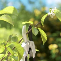 Outsunny Set mit 3 Gartenscheren, Gartenschnitt-Set, mit scharfer Metallklinge, aus Metall und Aluminium, Silber, Schwarz(m-4)