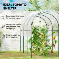 Outsunny Tunnel Tomato Greenhouse with 4 Hoops and Top Tap, Pointed Bottom and Guy Ropes, 400 x 123 x 171 cm, Clear(m-4)