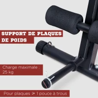 HOMCOM Banc de musculation pliable inclinable, banc réglable pour le développé couché, le curl biceps, la musculation du dos et des abdominaux, avec extenseur des jambes, acier, noir rouge(m-7)