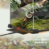 PawHut Reptile Glass Terrarium with Stone Background, Front Ventilation, Escape-Proof Knob Lock, 30 x 20 x 20 cm, Black(m-8)