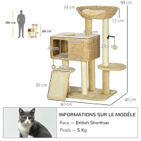 Pawhut Árvore para Gatos com Arranhador Cesto de Observação Plataformas e Pompons Suspensos 60x40x98 cm Bege(m-3)