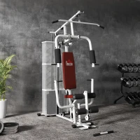 HOMCOM Stazione Fitness Multifunzione per Casa e Palestra con 4 Imbottiture, in Acciaio e PU, 150x110x210 cm, Bianco(m-8)