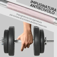 HOMCOM Set Manubri Pesi 20 kg (4x2.5 kg, 4x1.5 kg) con 8 Dischi e 2 Manubri da 2 kg, 43x18x7.5 cm, Nero(m-5)
