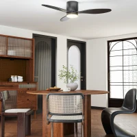 HOMCOM Ventilateur de Plafond avec Lampe et Télécommande, 3 Couleurs de Lumière, 6 Vitesses, Luminosité Ajustable, Noir(m-2)