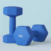 SPORTNOW Ensemble de 2 Haltères Hexagonaux de 2x7kg en Métal et Plastique avec Poignée Antidérapante, 22,5x10,5x10,5 cm, Bleu(m-3)