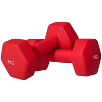 SPORTNOW Lot de 2 haltères hexagonales avec poignée antidérapante pour l'entraînement à la maison, 2 x 4kg, rouge(m-10)