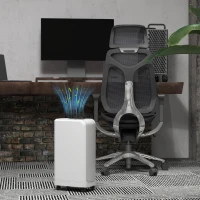 HOMCOM Déshumidificateur Portable Tactile de 12L avec Tuyau de Vidange, Minuterie et Filtre, en ABS, 28x18x50.6 cm, Blanc(m-4)