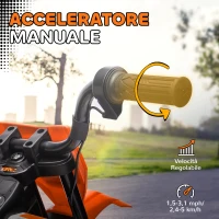 AIYAPLAY Moto Elettrica per Bambini con Rotelle Rimovibili, Sospensioni, Suoni e Indicatore di Carica, Arancione(m-4)