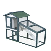 PawHut Clapier pour Lapins et Animaux de Compagnie en Bois 2 Étages en Épicéa Double Porte 140x65x100cm Vert et Blanc(m-5)