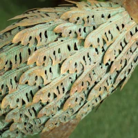 Outsunny Sculptură de egretă în metal pentru grădină exterioară 90 cm, multicolor(m-4)