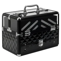 HOMCOM Maletín de Maquillaje Bisutería Organizador Cosméticos Portátil Múltiples Niveles Con Asa y Bandejas Desplegables Aleación de Aluminio 30x18,5x22 cm Transparente y Negro(m-10)