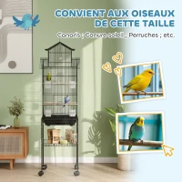 PawHut Cage à oiseaux sur pied, volière sur roulettes avec balançoire, support, design maison, 50,5 x 41 x 163 cm en acier noir(m-7)