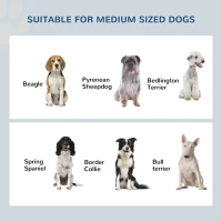 PawHut Raised Dog Feeding Station with Stainless Steel Bowls, Elevated Pet Feeder with Stand for Medium Dog 58.4L(m-6)