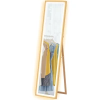 HOMCOM Full Length Mirror, with Adjustable Outer Light, Oak(m-10)