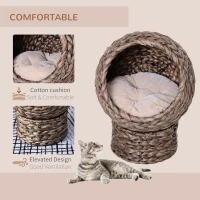 PawHut Elevated Kitten Hooded Rattan Cat House Basket Cushion, 42x33x52cm Brown(m-4)