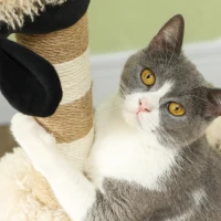 PawHut Albero Tiragraffi con Design pecora nera, con tiragraffi, tunnel e giocattolo, 98 cm, marrone chiaro(m-4)