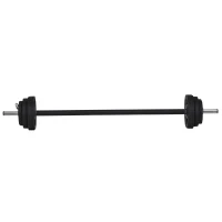 HOMCOM Set di Manubri Regolabili con Pesi 20KG, Set Bilanciere e Dischi in Acciaio e TPU con Clip a Molla, Nero(m-1)