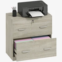 Vinsetto Cajonera de Escritorio con 2 Cajones con Guías para Carpetas Colgantes para A4 Cerradura y 2 Llaves 77x42x72 cm Natural(m-10)