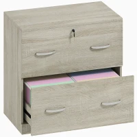 Vinsetto Cajonera de Escritorio con 2 Cajones con Guías para Carpetas Colgantes para A4 Cerradura y 2 Llaves 77x42x72 cm Natural(m-1)