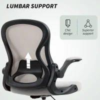 Vinsetto Adjustable Mesh Standing Desk Chair with Flip-up Armrests Lumbar Support Armrests Adjustable Footrest Ring Grey(m-6)