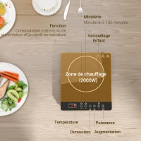 HOMCOM Plaque à induction portable 2000 W 10 températures 10 puissances minuterie écran LED verrouillage enfant noir(m-6)