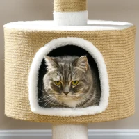 PawHut Árbol Rascador Árbol para Gatos con Casita, 1 Casita, 1 Área de descanso, 70x49x79 cm, Natural + Blanco(m-5)