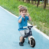AIYAPLAY Draisienne vélo pentru copil draisienne bebeluși șezut reglabil 2 roți fără pedale pentru bebeluși 18-36 luni până la 25 kg albastru(m-2)