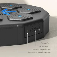 SPORTNOW Machine de boxe musicale music boxing machine mural avec gants de boxe, bluetooth music 40 x 40 x 7,5 cm, noir(m-6)