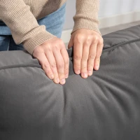 HOMCOM Canapea 2 locuri elegantă din catifea 127 cm cu perne groase, 2 perne și șezut captușit, gri(m-5)