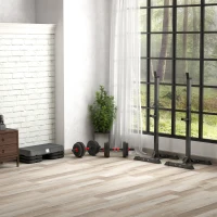 SPORTNOW Stepper aerobic fitness înălțime reglabilă 3 nivele 10/15/20 cm suprafață antiderapantă plastic, gri(m-5)