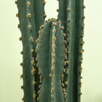 Outsunny Cactus artificial extrem de realist plantă artificială de dimensiuni mari dim. Ø 18 x 120H cm verde(m-5)