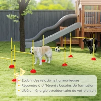 PawHut Kit de echipament de agilitate pentru câini cu 4 obstacole de sărit reglabile în înălțime, geantă de transport, galben și portocaliu(m-3)