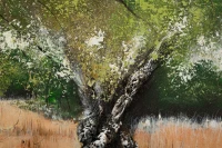 Mauro Ferretti Pictura Pe Panza, Maslin,  -A- Cm 120X3,8X78(m-4)