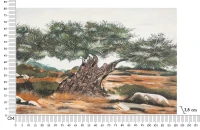 Mauro Ferretti Pictura Pe Panza, Maslin, -B- Cm 120X3,8X78(m-6)