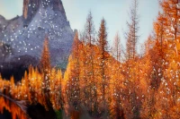 Mauro Ferretti Pictura Pe Panza, Cu Rama, Cm 90X4X58(m-3)