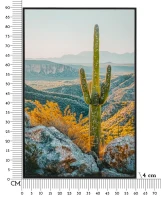 Mauro Ferretti Pictura Pe Panza Lacuita, Cu Rama, Cactus -B- Cm 60X4X88(m-7)