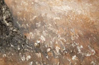 Mauro Ferretti Pictura Pe Panza, Maslin,  -C- Cm 120X3,8X78(m-4)