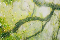 Mauro Ferretti Pictura Pe Panza, Lacuita, Cu Rama, Padure Cm 90X4X58(m-3)