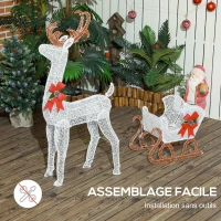 Outsunny Renne et traîneau lumineux de Noël avec 170 LED blanc chaud, décoration de Noël pour intérieur et extérieur, 50x29x42cm(m-5)
