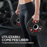 SPORTNOW Set di Dischi Pesi 2x2.5 kg con Foro da 5 cm e 3 Impugnature, Acciaio con Rivestimento in Plastica, Nero(m-4)