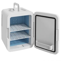 HOMCOM Mini Frigorífico para Cosméticos 10L 12V/240V para Arrefecer e Aquecer com Espelho de Luzes LED  23,5x28x34 cm Branco(m-11)